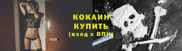 СК Надым