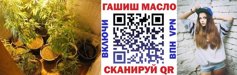 ТГК Wax  Хвалынск 